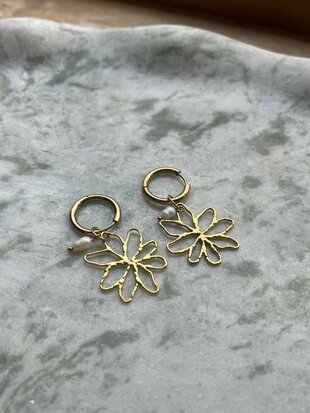 Golden Bloom