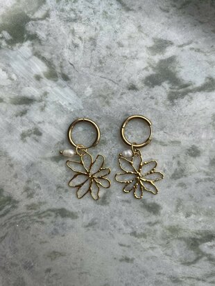 Golden Bloom