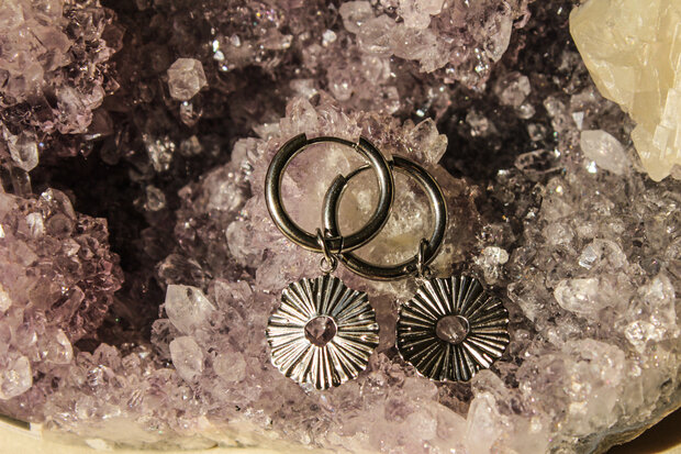 Alice Earrings Zilver