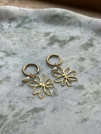 Golden Bloom