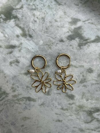 Golden Bloom