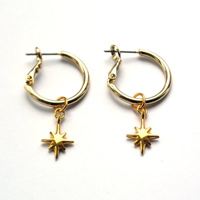 Oorringen goud Twinkle