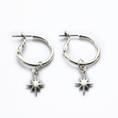 Oorringen zilver Twinkle
