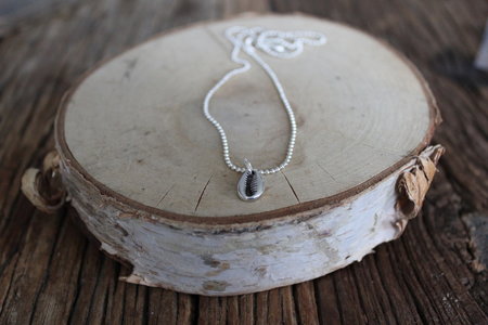 Silver shell