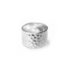 Phoebe ring ☽ hammered statement ring_